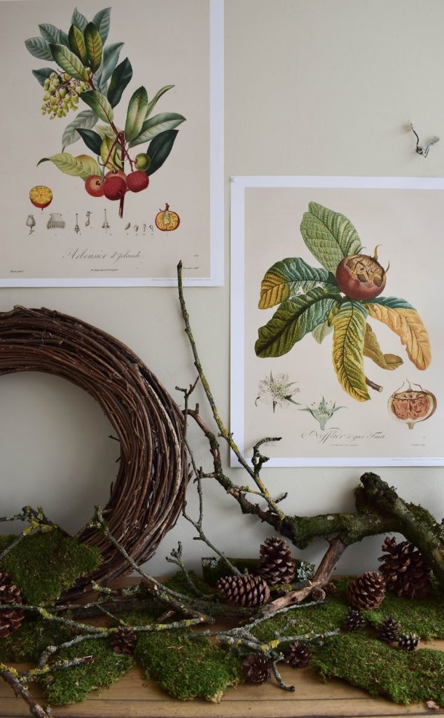 Kalender 2019 mit botanischen Zeichnungen Drucke Poster Deko Dekoidee Wanddeko von DUMONT teNeues Naturdeko mit Moos Ästen Kranz Zapfen Kalender 2019 mit botanischen Zeichnungen Drucke Poster Deko Dekoidee Wanddeko von DUMONT teNeues Naturdeko mit Moos Ästen Kranz Zapfen