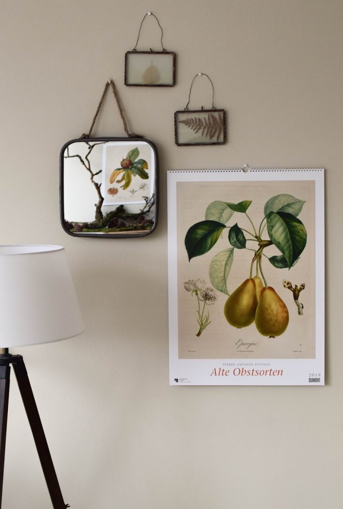 Kalender 2019 mit botanischen Zeichnungen Drucke Poster Deko Dekoidee Wanddeko von DUMONT teNeues Kalender 2019 mit botanischen Zeichnungen Drucke Poster Deko Dekoidee Wanddeko von DUMONT teNeues Alte Obstsorten