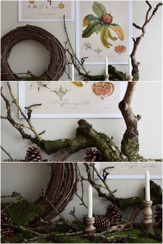 Naturdeko mit Moos Ästen Kranz Zapfen Kalender 2019 mit botanischen Zeichnungen Drucke Poster Deko Dekoidee Wanddeko von DUMONT teNeues Naturdeko mit Moos Ästen Kranz Zapfen Kalender 2019 mit botanischen Zeichnungen Drucke Poster Deko Dekoidee Wanddeko von DUMONT teNeues
