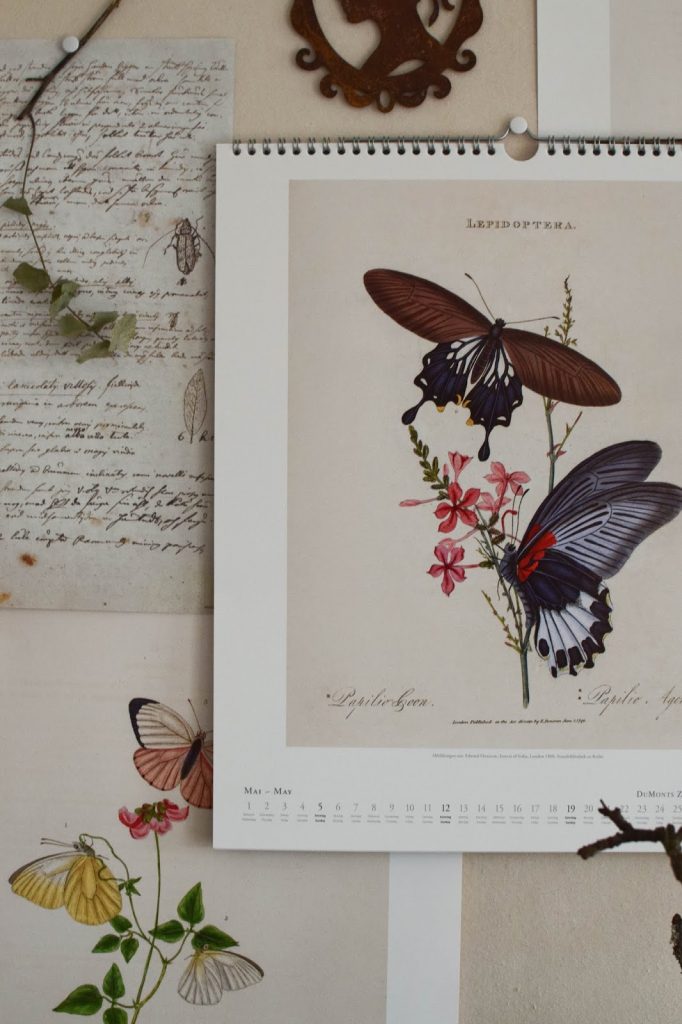 Kalender 2019 mit botanischen Zeichnungen Drucke Poster Deko Dekoidee Wanddeko von DUMONTs Zoologisches Kabinett Kalender 2019 mit botanischen Zeichnungen Drucke Poster Deko Dekoidee Wanddeko von DUMONTs Zoologisches Kabinett