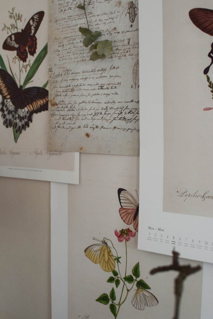 Kalender 2019 mit botanischen Zeichnungen Drucke Poster Deko Dekoidee Wanddeko von DUMONTs Zoologisches Kabinett Kalender 2019 mit botanischen Zeichnungen Drucke Poster Deko Dekoidee Wanddeko von DUMONTs Zoologisches Kabinett