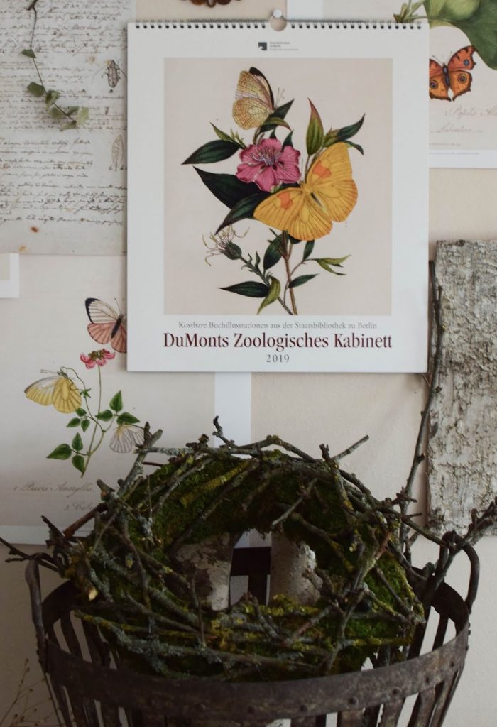 DIY Mooskranz mit Ästen selbermachen und Kalender 2019 mit botanischen Zeichnungen Drucke Poster Deko Dekoidee Wanddeko von DUMONTs Zoologisches Kabinett DIY Mooskranz mit Ästen selbermachen Kalender 2019 mit botanischen Zeichnungen Drucke Poster Deko Dekoidee Wanddeko von DUMONTs Zoologisches Kabinett