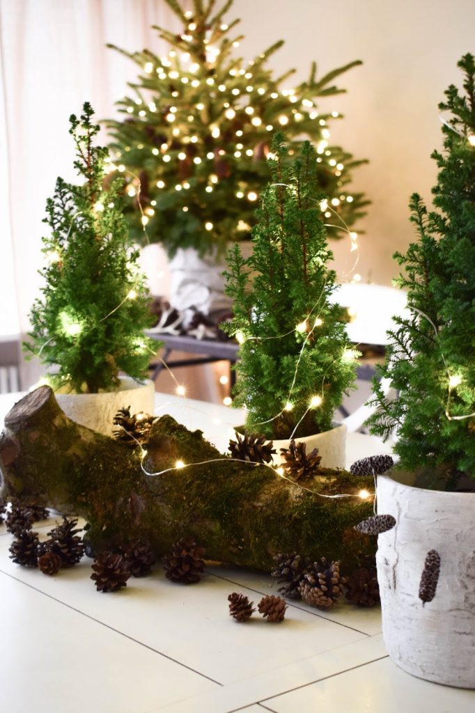 Weihnachtsdeko mit Lichterketten batteriebetrieben mit VARTA Longlife Batterien. Dekoidee weihnachtlich dekorieren Weihnachtsbaum Weihnachtsdeko mit Lichterketten batteriebetrieben mit VARTA Longlife Batterien. Dekoidee weihnachtlich dekorieren Weihnachtsbaum