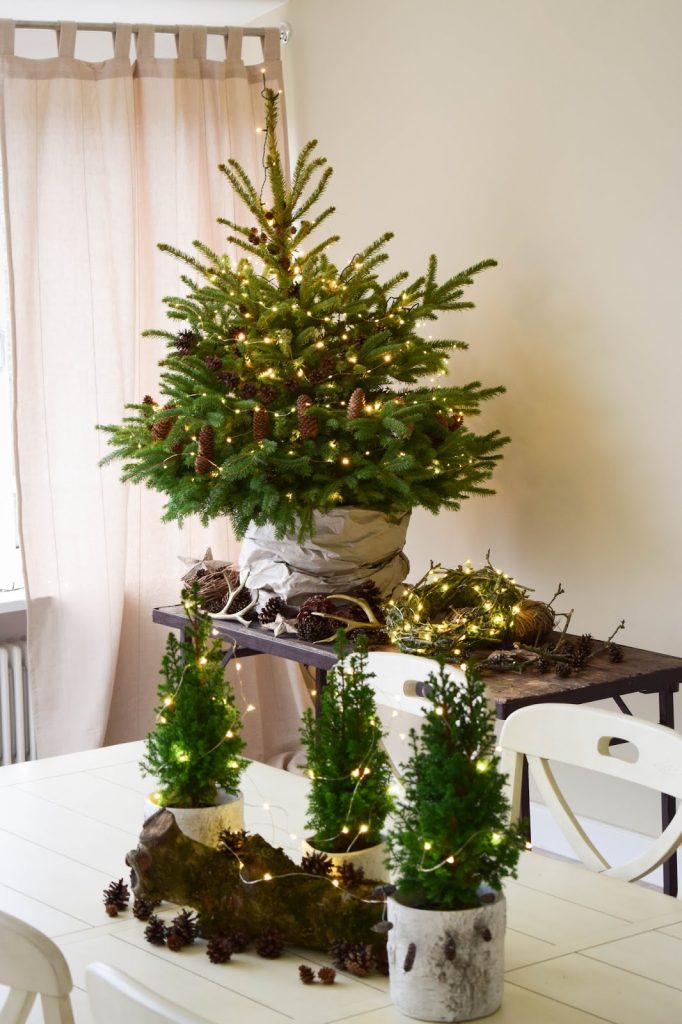 Weihnachtsdeko mit Lichterketten batteriebetrieben mit VARTA Longlife Batterien. Dekoidee weihnachtlich dekorieren Weihnachtsbaum Weihnachtsdeko mit Lichterketten batteriebetrieben mit VARTA Longlife Batterien. Dekoidee weihnachtlich dekorieren Weihnachtsbaum