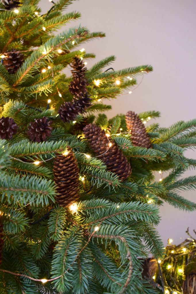 Weihnachtsdeko mit Lichterketten batteriebetrieben mit VARTA Longlife Batterien. Dekoidee weihnachtlich dekorieren Weihnachtsbaum Weihnachtsdeko mit Lichterketten batteriebetrieben mit VARTA Longlife Batterien. Dekoidee weihnachtlich dekorieren Weihnachtsbaum