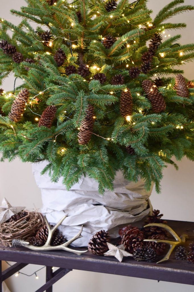Weihnachtsdeko mit Lichterketten batteriebetrieben mit VARTA Longlife Batterien. Dekoidee weihnachtlich dekorieren Weihnachtsbaum Weihnachtsdeko mit Lichterketten batteriebetrieben mit VARTA Longlife Batterien. Dekoidee weihnachtlich dekorieren Weihnachtsbaum