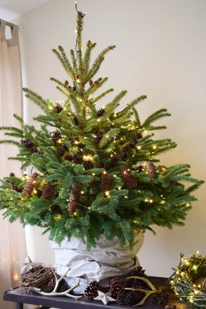 Weihnachtsdeko mit Lichterketten batteriebetrieben mit VARTA Longlife Batterien. Dekoidee weihnachtlich dekorieren Weihnachtsbaum Weihnachtsdeko mit Lichterketten batteriebetrieben mit VARTA Longlife Batterien. Dekoidee weihnachtlich dekorieren Weihnachtsbaum