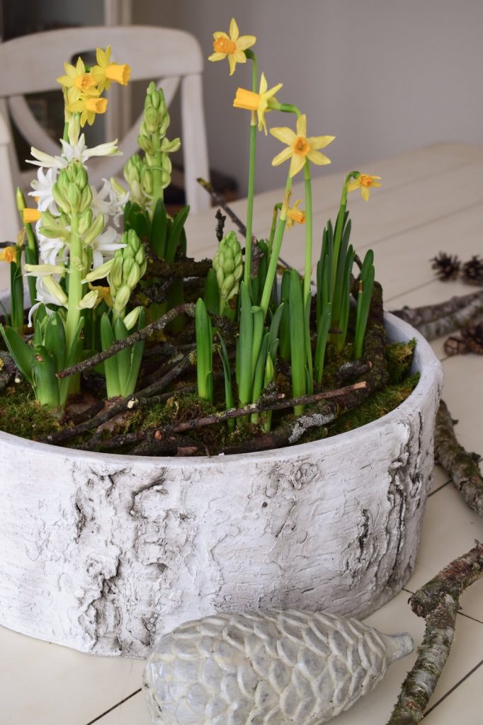 Frühlingsdeko selber machen mit Naturmaterialien: Moos, Frühlingsblüher, Zweige. Dekoidee Frühling Tischdeko natürlich basteln