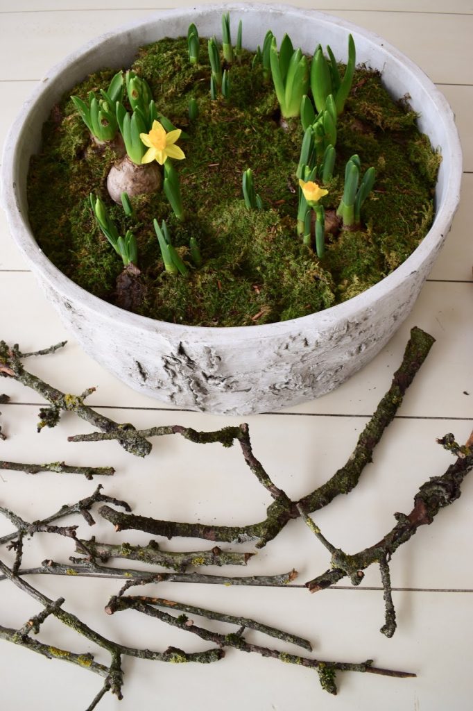 Frühlingsdeko selber machen mit Naturmaterialien: Moos, Frühlingsblüher, Zweige. Dekoidee Frühling Tischdeko natürlich basteln Frühlingsdeko selber machen mit Naturmaterialien: Moos, Frühlingsblüher, Zweige. Dekoidee Frühling Tischdeko natürlich basteln