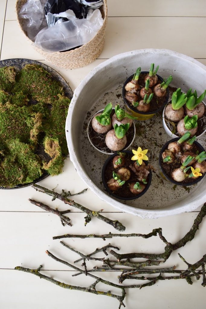 Frühlingsdeko selber machen mit Naturmaterialien: Moos, Frühlingsblüher, Zweige. Dekoidee Frühling Tischdeko natürlich basteln Frühlingsdeko selber machen mit Naturmaterialien: Moos, Frühlingsblüher, Zweige. Dekoidee Frühling Tischdeko natürlich basteln