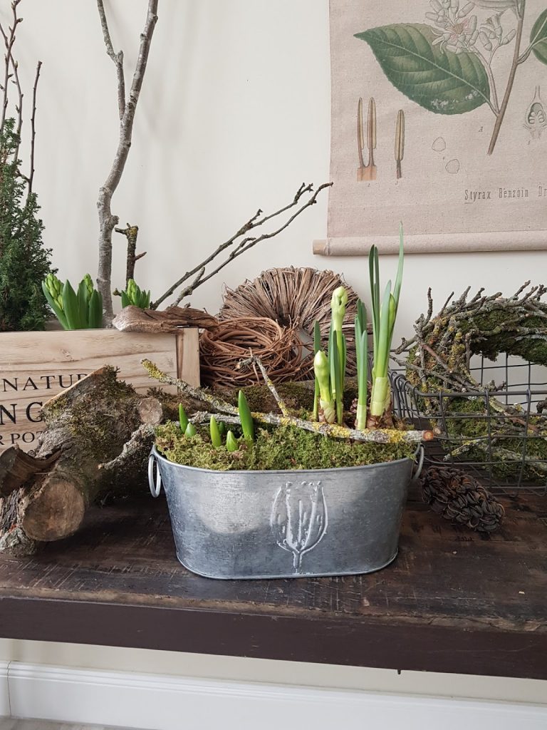 Frühlingsdeko selbermachen basteln mit Narzissen Krokusse Bridal Crown Deko für den Frühling natürlich Frühlingsblüher Moos Zweige Frühlingsdeko selbermachen basteln mit Narzissen Krokusse Bridal Crown Deko für den Frühling natürlich Frühlingsblüher Moos Zweige