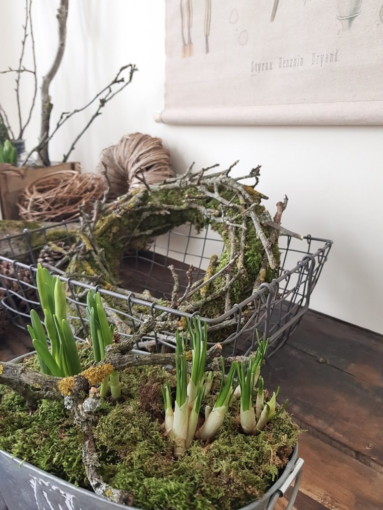Frühlingsdeko selbermachen basteln mit Narzissen Krokusse Bridal Crown Deko für den Frühling natürlich Frühlingsblüher Moos Zweige Frühlingsdeko selbermachen basteln mit Narzissen Krokusse Bridal Crown Deko für den Frühling natürlich Frühlingsblüher Moos Zweige