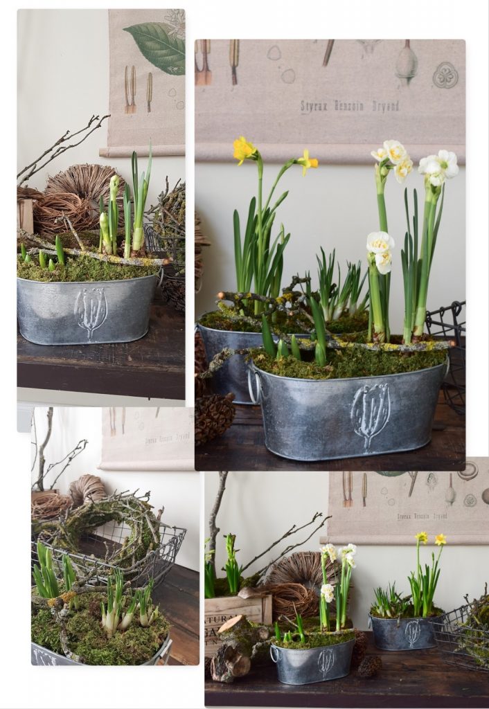 Frühlingsdeko selbermachen basteln mit Narzissen Krokusse Bridal Crown Deko für den Frühling natürlich Frühlingsblüher Moos Zweige Frühlingsdeko selbermachen basteln mit Narzissen Krokusse Bridal Crown Deko für den Frühling natürlich Frühlingsblüher Moos Zweige