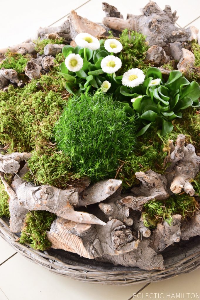 Frühlingsdeko basteln mit Naturmaterialien selber machen mit Moos, Holzkranz Bellis, Natur, Deko für den Frühling Frühlingsdeko basteln mit Naturmaterialien selber machen mit Moos, Holzkranz Bellis, Natur, Deko für den Frühling