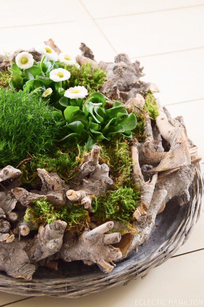 Frühlingsdeko basteln mit Naturmaterialien selber machen mit Moos, Holzkranz Bellis, Natur, Deko für den Frühling Frühlingsdeko basteln mit Naturmaterialien selber machen mit Moos, Holzkranz Bellis, Natur, Deko für den Frühling