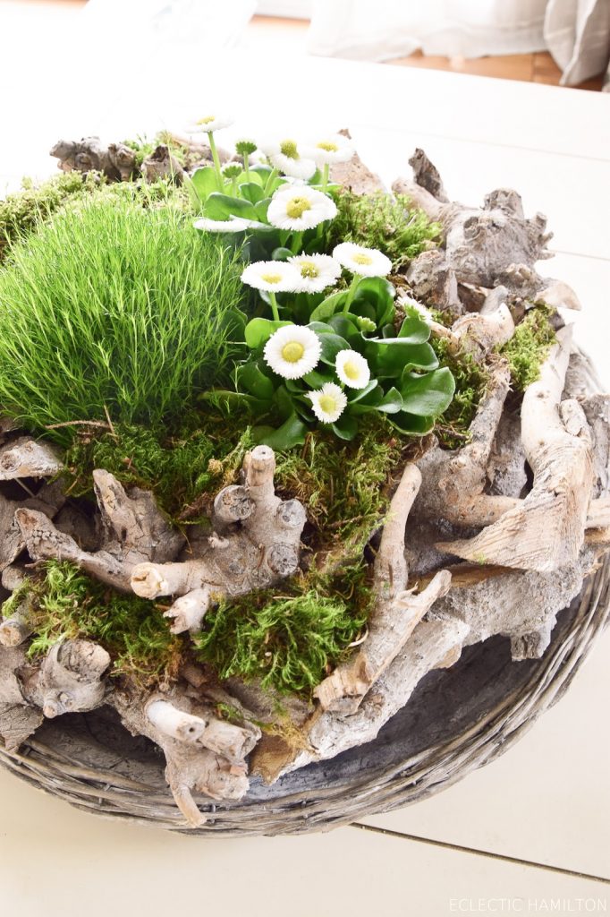 Frühlingsdeko basteln mit Naturmaterialien selber machen mit Moos, Holzkranz Bellis, Natur, Deko für den Frühling Frühlingsdeko basteln mit Naturmaterialien selber machen mit Moos, Holzkranz Bellis, Natur, Deko für den Frühling