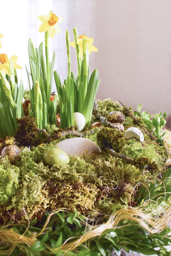 Osterdeko mit Natur: DIY Osternest mit Moos, Holzkranz, Narzissen, Eiern, Buchs. Einfach selber machen Ostern Dekoidee Osterdeko mit Natur: DIY Osternest mit Moos, Holzkranz, Narzissen, Eiern, Buchs. Einfach selber machen Ostern Dekoidee