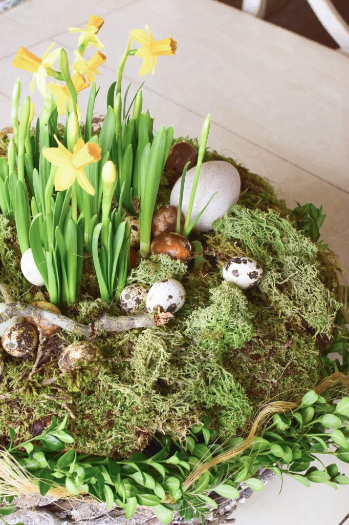 Osterdeko mit Natur: DIY Osternest mit Moos, Holzkranz, Narzissen, Eiern, Buchs. Einfach selber machen Ostern Dekoidee Osterdeko mit Natur: DIY Osternest mit Moos, Holzkranz, Narzissen, Eiern, Buchs. Einfach selber machen Ostern Dekoidee
