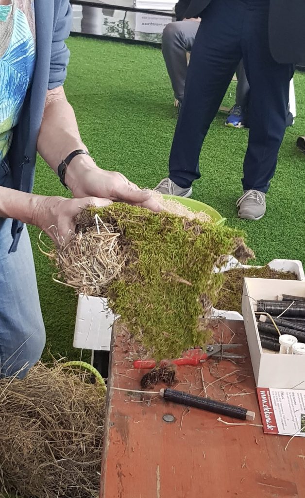 Kreativ Workshop mit Eleonore Schick Gartenmesse Stuttgart DIY Deko mit Moos. Einfach selber machen. Dekoidee aus Heu, Draht, Moos und Blüten Basteln und Kreativsein Kreativ Workshop mit Eleonore Schick Gartenmesse Stuttgart DIY Deko mit Moos. Einfach selber machen. Dekoidee aus Heu, Draht, Moos und Blüten Basteln und Kreativsein