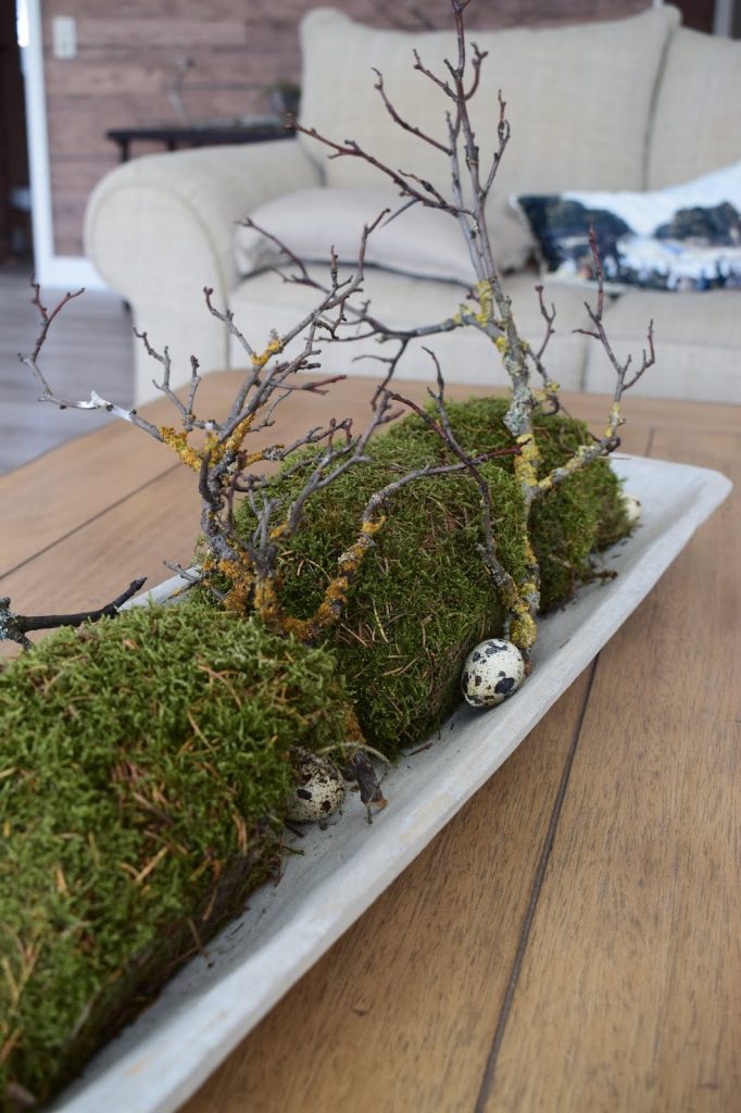 Deko mit Natur Moos Geäst Wachteleier einfach selbermachen Osterdeko dezent elegant Ostern Tischdeko Dekoidee dekorieren Deko mit Natur Moos Geäst Wachteleier einfach selbermachen Osterdeko dezent elegant Ostern Tischdeko Dekoidee dekorieren