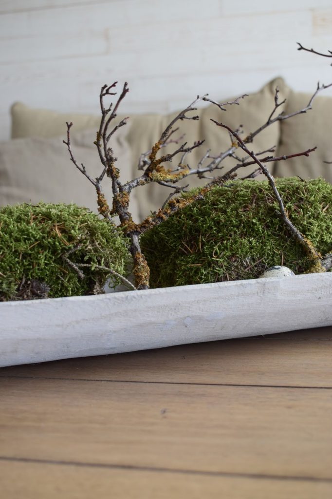 Deko mit Natur Moos Geäst Wachteleier einfach selbermachen Osterdeko dezent elegant Ostern Tischdeko Dekoidee dekorieren Deko mit Natur Moos Geäst Wachteleier einfach selbermachen Osterdeko dezent elegant Ostern Tischdeko Dekoidee dekorieren