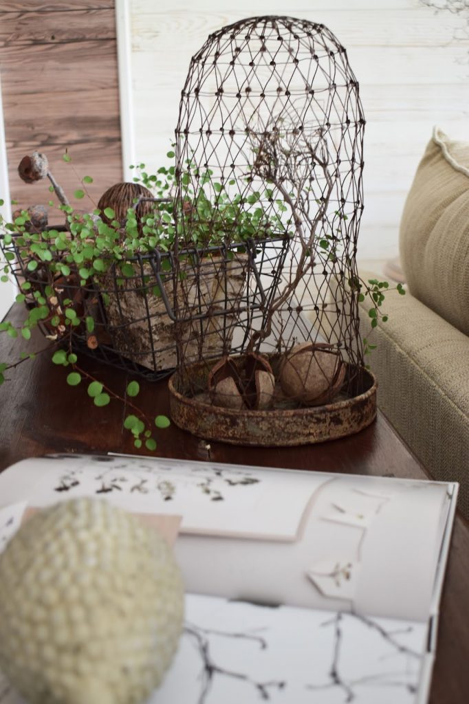3 Dekoideen für deinen Konsolentisch und Sideboard. Natürlich dekorieren im Wohnzimmer Flur Esszimmer. Dekoidee Konsole Naturdeko Mühlenbeckia Drahtkorb Drahthaube 3 Dekoideen für deinen Konsolentisch und Sideboard. Natürlich dekorieren im Wohnzimmer Flur Esszimmer. Dekoidee Konsole Naturdeko Mühlenbeckia Drahtkorb Drahthaube