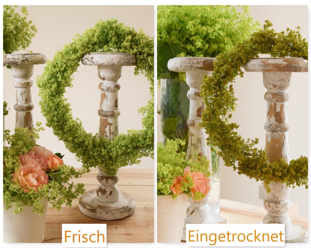 Frauenmantel Deko: Kranz binden für den Sommer. Anleitung für einen natürlichen Kranz aus Naturmaterialien. Einfach selber machen: Naturdeko Kränze für Sommer und Herbst aus dem Garten Frauenmantel Deko: Kranz binden für den Sommer. Anleitung für einen natürlichen Kranz aus Naturmaterialien. Einfach selber machen: Naturdeko Kränze für Sommer und Herbst aus dem Garten