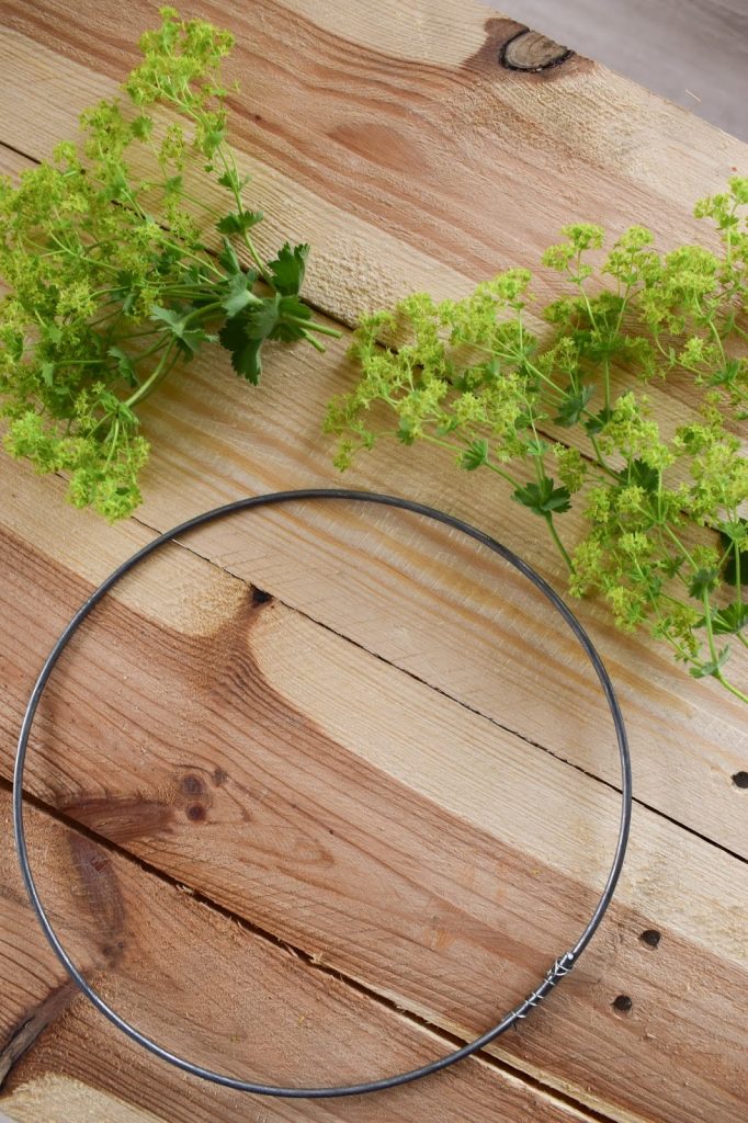 Frauenmantel Deko: Kranz binden für den Sommer. Anleitung für einen natürlichen Kranz aus Naturmaterialien. Einfach selber machen: Naturdeko Kränze für Sommer und Herbst aus dem Garten Frauenmantel Deko: Kranz binden für den Sommer. Anleitung für einen natürlichen Kranz aus Naturmaterialien. Einfach selber machen: Naturdeko Kränze für Sommer und Herbst aus dem Garten