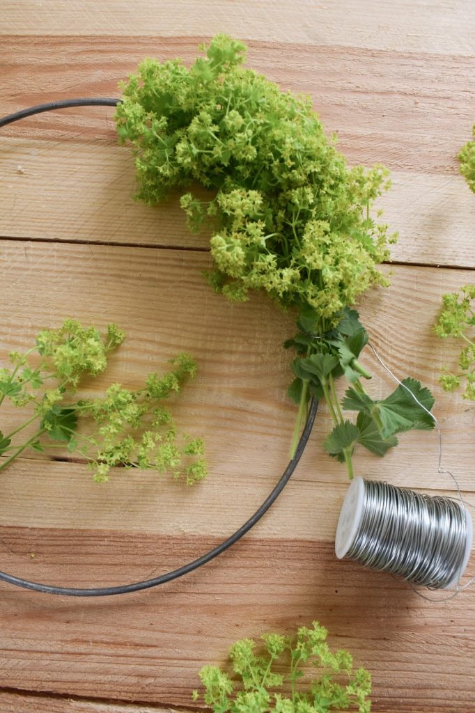 Frauenmantel Deko: Kranz binden für den Sommer. Anleitung für einen natürlichen Kranz aus Naturmaterialien. Einfach selber machen: Naturdeko Kränze für Sommer und Herbst aus dem Garten Frauenmantel Deko: Kranz binden für den Sommer. Anleitung für einen natürlichen Kranz aus Naturmaterialien. Einfach selber machen: Naturdeko Kränze für Sommer und Herbst aus dem Garten