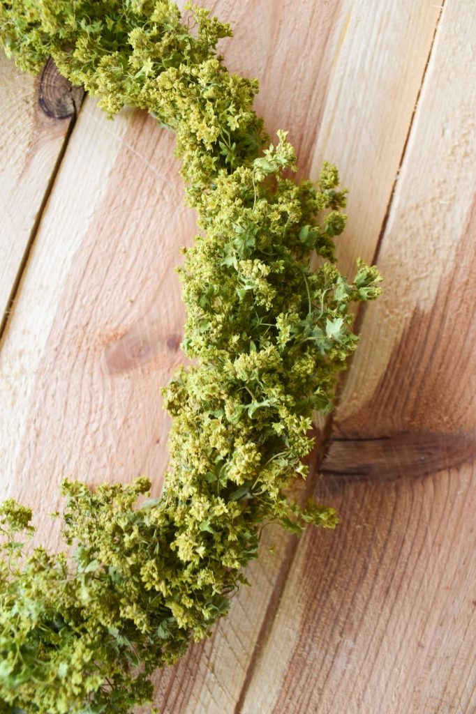 Frauenmantel Deko: Kranz binden für den Sommer. Anleitung für einen natürlichen Kranz aus Naturmaterialien. Einfach selber machen: Naturdeko Kränze für Sommer und Herbst aus dem Garten Frauenmantel Deko: Kranz binden für den Sommer. Anleitung für einen natürlichen Kranz aus Naturmaterialien. Einfach selber machen: Naturdeko Kränze für Sommer und Herbst aus dem Garten