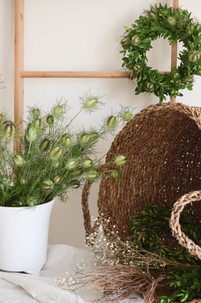 DIY Anleitung Kranz für den Sommer aus Buchs und Samenkapseln der Jungfer im Grünen. Selber machen Naturdeko natürlich dekorieren DIY Anleitung Kranz für den Sommer aus Buchs und Samenkapseln der Jungfer im Grünen. Selber machen Naturdeko natürlich dekorieren