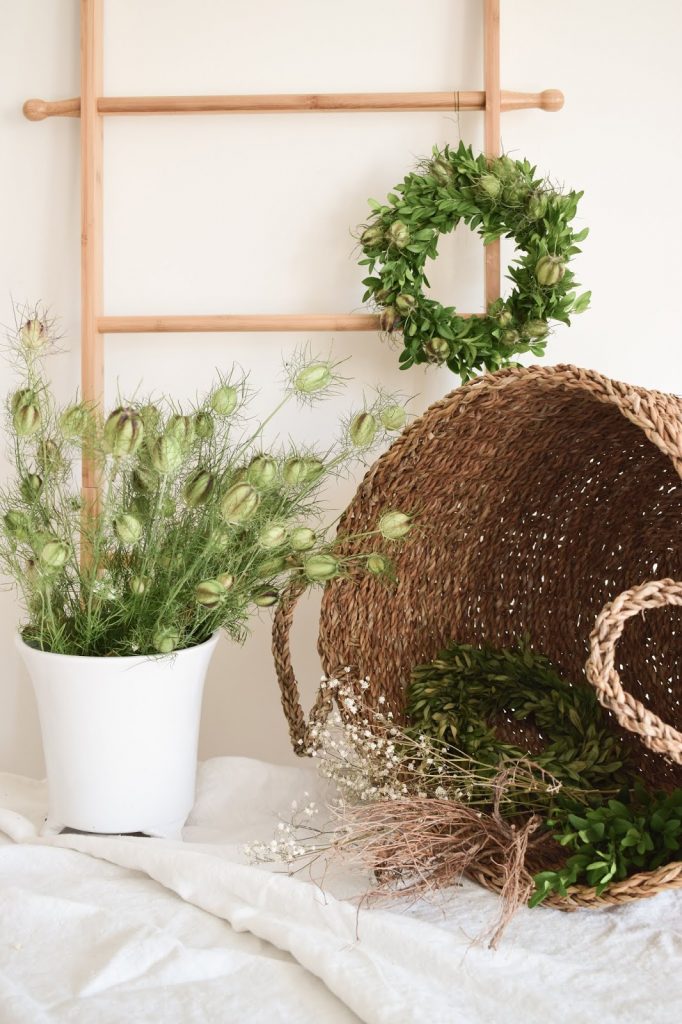 DIY Anleitung Kranz für den Sommer aus Buchs und Samenkapseln der Jungfer im Grünen. Selber machen Naturdeko natürlich dekorieren DIY Anleitung Kranz für den Sommer aus Buchs und Samenkapseln der Jungfer im Grünen. Selber machen Naturdeko natürlich dekorieren
