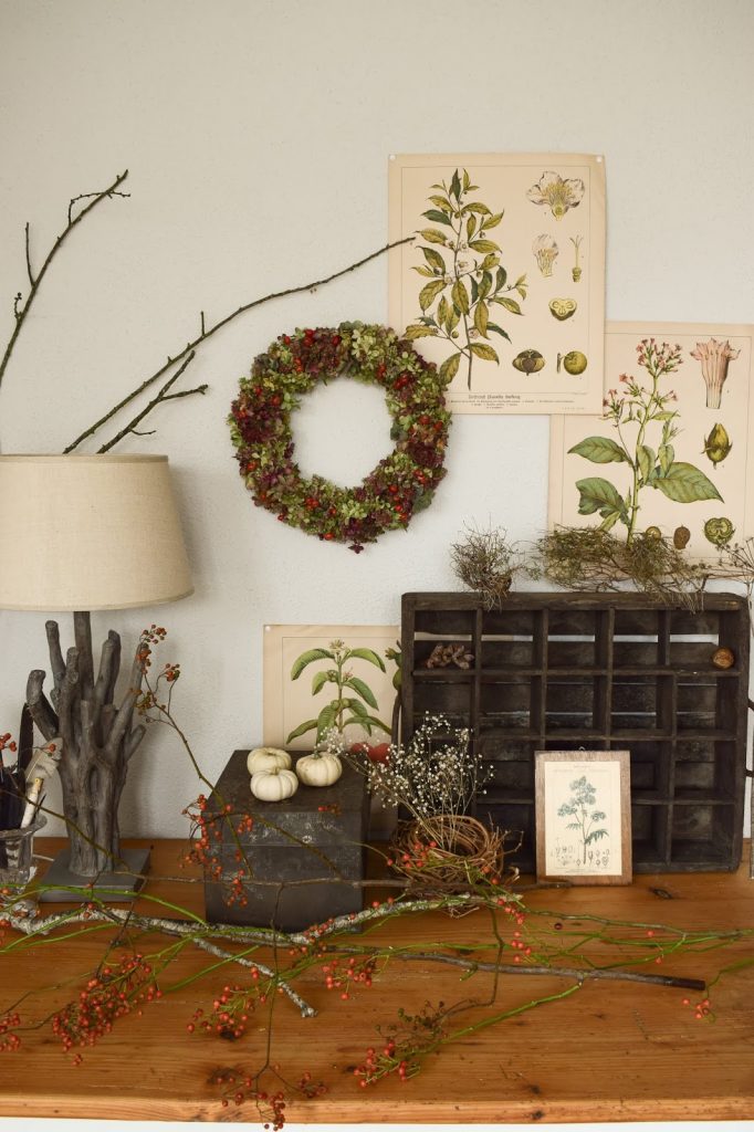 Hortensienkranz Anleitung zum selber binden mit Fetter Henne Hagebutte Hagebutten Kränze Dekoidee Herbst Kranz binden für Anfaenger herbstlich dekorieren kränze DIY Hortensienkranz Anleitung zum selber binden mit Fetter Henne Hagebutte Hagebutten Kränze Dekoidee Herbst Kranz binden für Anfaenger herbstlich dekorieren kränze DIY