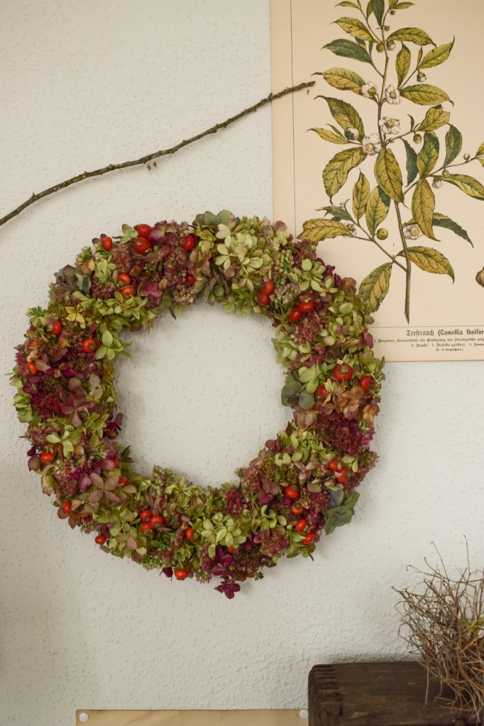 Hortensienkranz Anleitung zum selber binden mit Fetter Henne Hagebutte Hagebutten Kränze Dekoidee Herbst Kranz binden für Anfaenger herbstlich dekorieren kränze DIY Hortensienkranz Anleitung zum selber binden mit Fetter Henne Hagebutte Hagebutten Kränze Dekoidee Herbst Kranz binden für Anfaenger herbstlich dekorieren kränze DIY