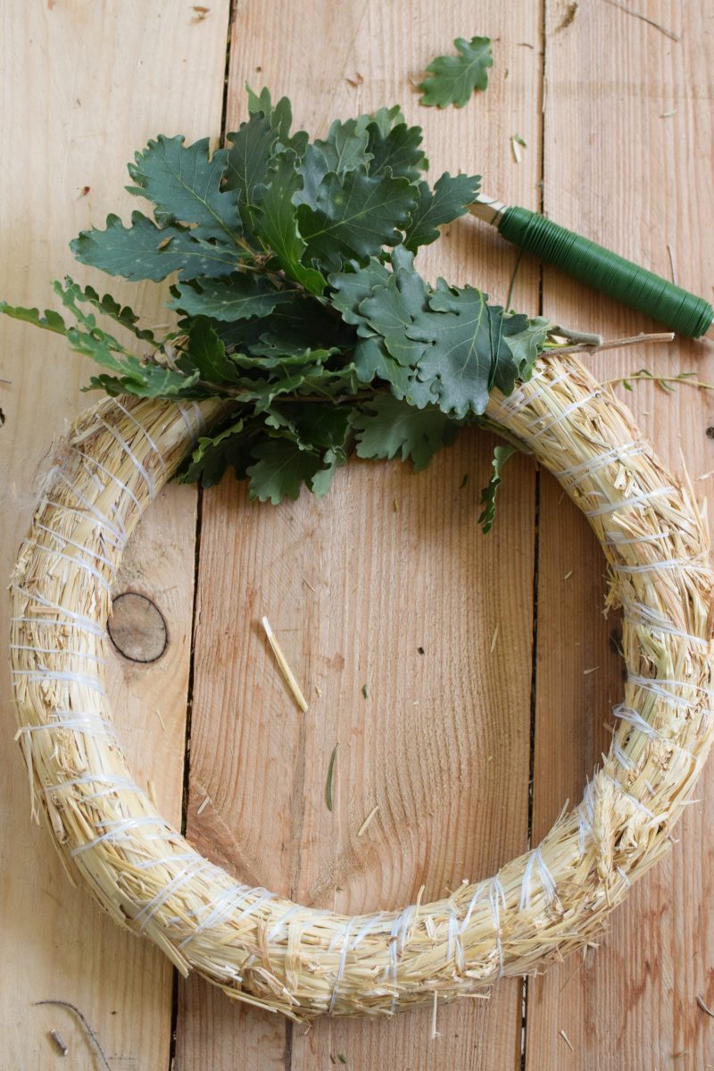 Eichblatt Kranz selber binden. So geht es. Anleitung für eine tolle Naturdekoidee. Kranzbinden Kranz Kränze aus Naturmaterialien DIY