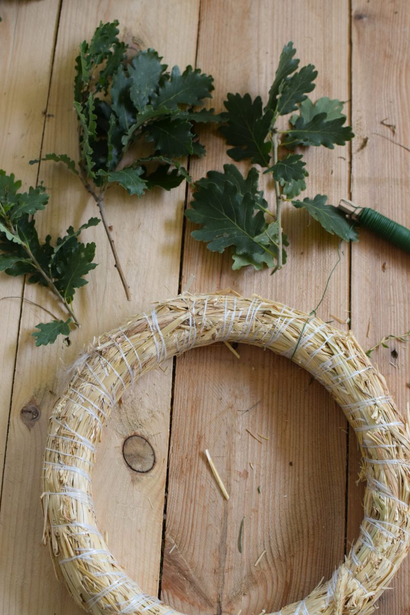 Eichblatt Kranz selber binden. So geht es. Anleitung für eine tolle Naturdekoidee. Kranzbinden Kranz Kränze aus Naturmaterialien DIY