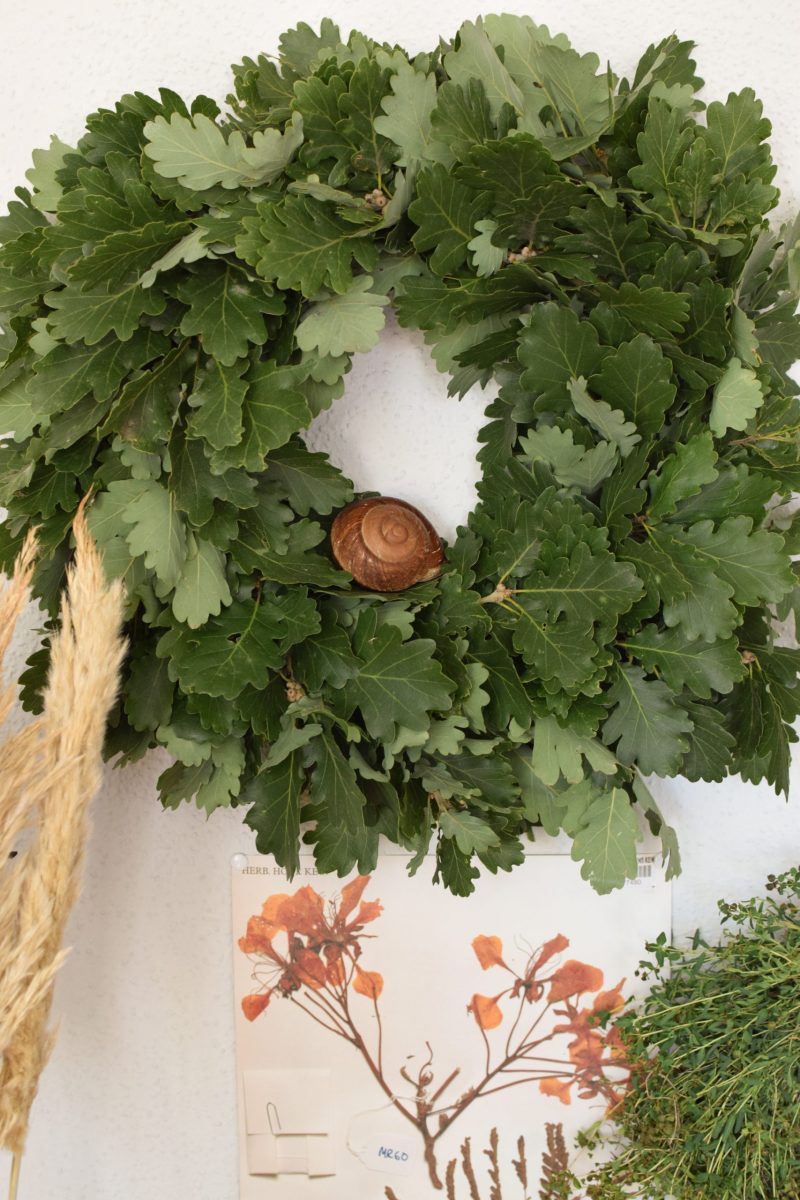Eichblatt Kranz selber binden. So geht es. Anleitung für eine tolle Naturdekoidee. Kranzbinden Kranz Kränze aus Naturmaterialien DIY