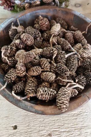 zapfen erle erlzapfen naturzapfen weihnachtsdeko winterdeko mrs greenery shop bestellen kaufen