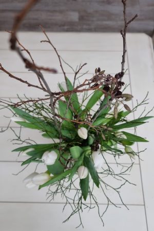 Erle Schwarzerle Zweige Stengel Bund Frühlingsdeko Herbstdeko Winterdkeko Weihnachtsdeko im Mrs Greenery Shop bestellen kaufen