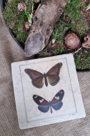 Bild Wandbild Schmetterlinge Platte zum Aufhängen natüröich dekorieren Mrs Greenery Shop bestellen kaufen