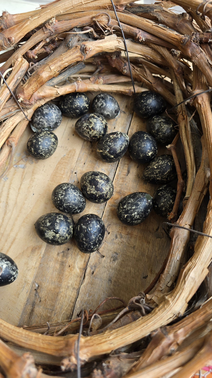 wachteleier eier ostereier ei naturdeko dunkel schwarz osterdeko mrs greenery shop bestellen kaufen online