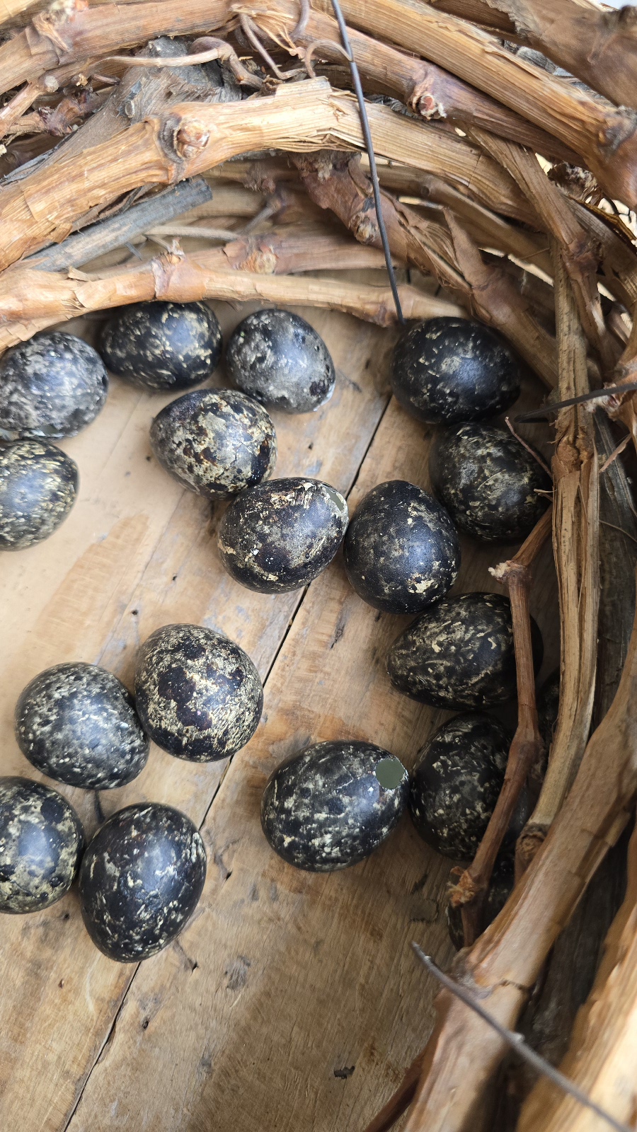 wachteleier eier ostereier ei naturdeko dunkel schwarz osterdeko mrs greenery shop bestellen kaufen online