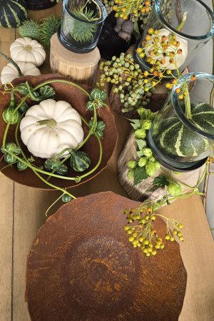 Schale Rostig Rostschale Metallschale Rost Dekoschale im Mrs Greenery Shop bestellen kaufen