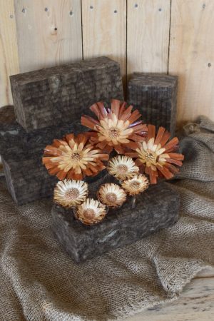 Bio Steckschaum Steckziegel. Die Alternative! Plastikfrei Blumen stecken. Für Blumengestecke aus 100% natürlichen Materialien. Für Nass- und Trockengestecke. Natürliche Steckmasse Sideau vom Mrs Greenery Shop