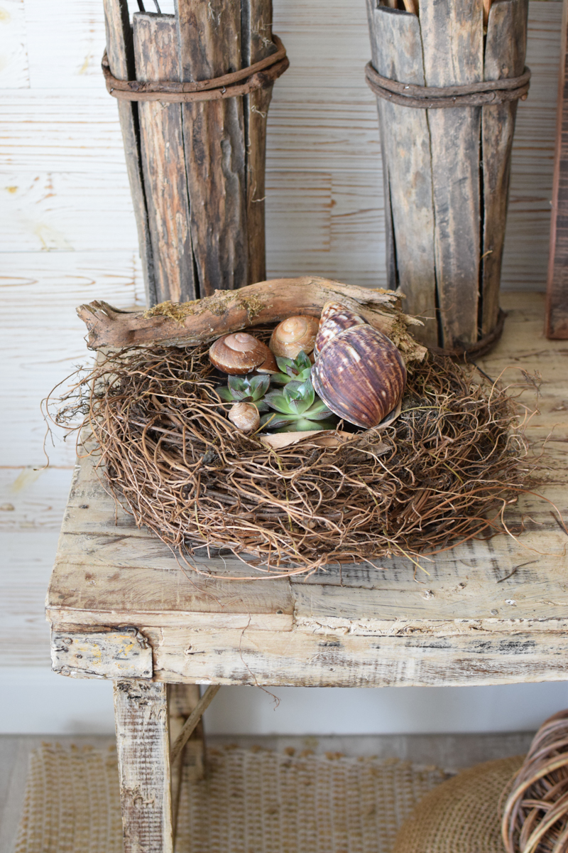 Pflanzkorb Pflanzschale Farnwurzel Naturschale wasserdicht im Mrs Greenery Shop bestellen kaufen