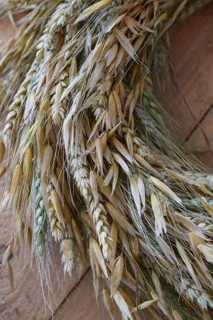 Getreide Kranz binden. Sommerkranz Getreidekranz Herbstkranz inkl. Material Kränze selber machen aus getrockneten Blumen. Trockenblumenkranz, Kränze selbermachen DIY Selberbinden selbermachen