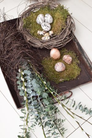 Naturnest groß – Bild 7