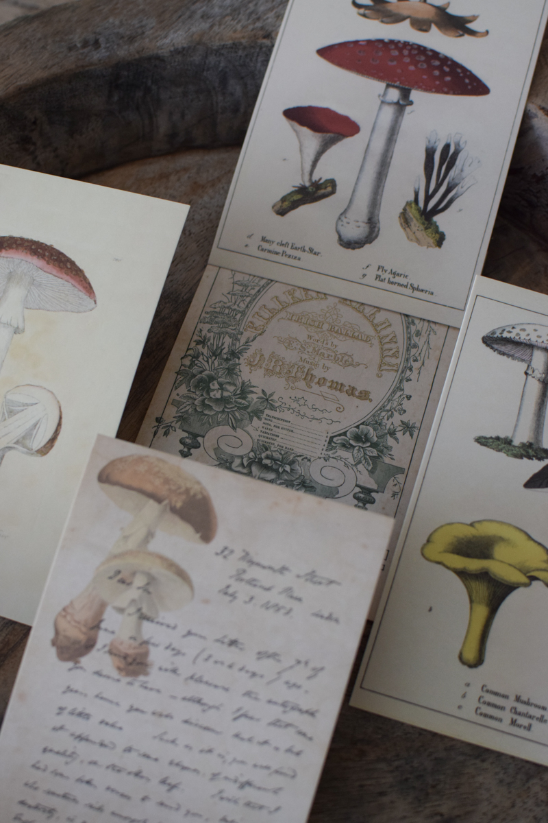 Postkarten Set 5 Stück mit Umschlag. Papeterie Flora Fauna Natur Noten Nostalgie Pilze Motive natürlich Naturdeko im Mrs Greenery Shop bestellen