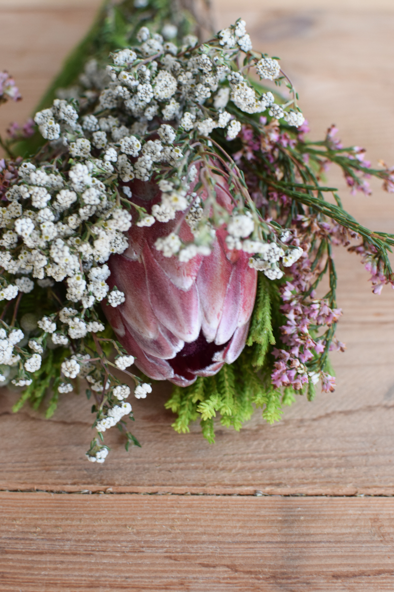 Protea die Trendblume. Proteen trocknen toll ein und können immer wieder dekoriert werden.