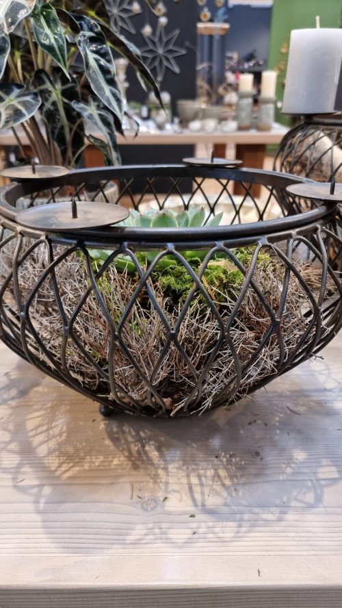 Schale Dekoschale mit Kerzenring Adventsdeko Adventskranz Kerzendeko Tischdeko Dekoschale im Mrs Greenery Shop kaufen bestellen